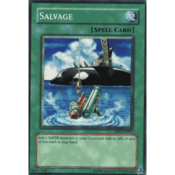 DR2-EN097 Salvage Yugioh Card