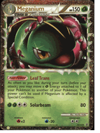 HGSS08 MEGANIUM Pokemon HeartGold & SoulSilver Holofoil Promo HGSS Card