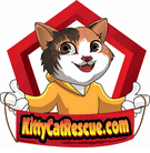 Welcome to KittyCatRescue