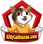 Welcome to KittyCatRescue