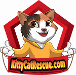 Welcome to KittyCatRescue - Click to enlarge