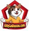 Welcome to KittyCatRescue
