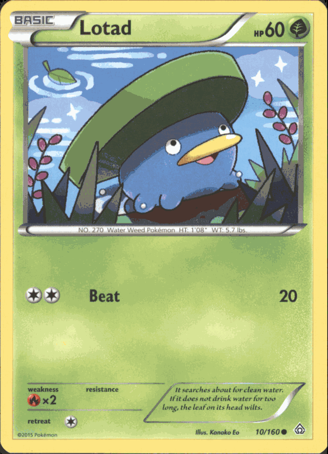 LOTAD Pokemon XY Primal Clash Common Card # 10/160