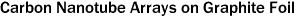 Carbon Nanotube Arrays on Graphite Foil
