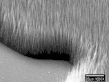 Carbon Nanotube Arrays on Titanium