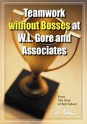 Teamwork Without Bosses at W.L. Gore and Associates