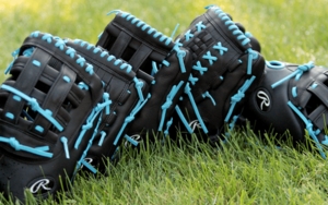 Rawlings Gamer Fastpitch Series 33" Catcher's Mitt GSBCM33-24BSS (2022)