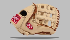 Rawlings Heart of the Hide Series 11.75" Infield Glove PROT205W-6C (2026)
