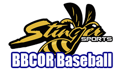 1 Stinger BBCOR Bats