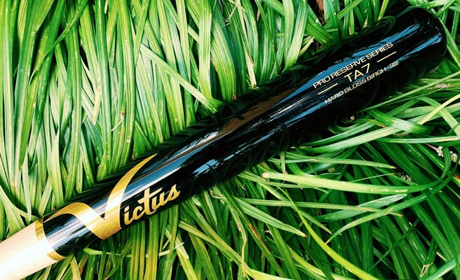 Victus Tim Anderson TA7 Pro Reserve Birch Bat VRWBTA7-NT-BK (2021)