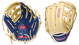 Wilson A900 Series 12" Utility Glove WBG04101 (2027)