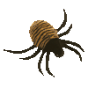 beanie buddies : Spinner the spider
