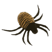 beanie buddies : Spinner the spider