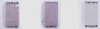 Sanrio : I.D. Card case pocket : 68248-74