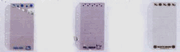 Sanrio : I.D. Card case pocket : 68248-74