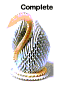 Swan 