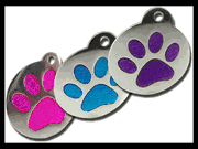 COLOR PAWS PET ID TAG - 2 sizes
