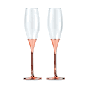 Wedding Toasting Glasses