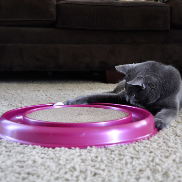 Bergan Turbo Scratcher Cat Toy