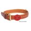 Calm Paws Calming Disk Dog Collar Attachment