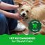 Greenies Dental Dog Chews Teenie 130ct