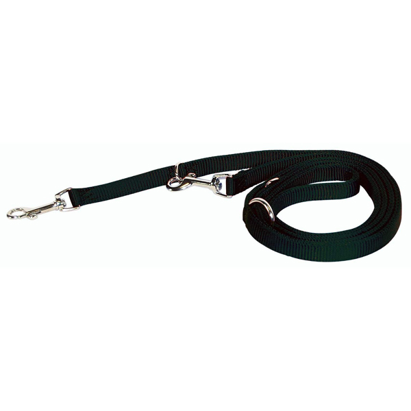 Hamilton Nylon European Dog Leash 5/8"