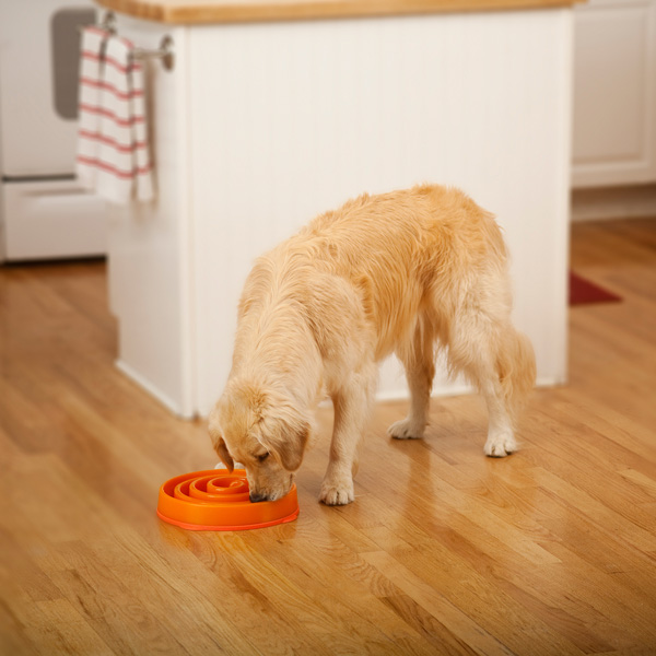 Outward Hound Fun Feeder Slow Feed Dog Bowl Orange Large