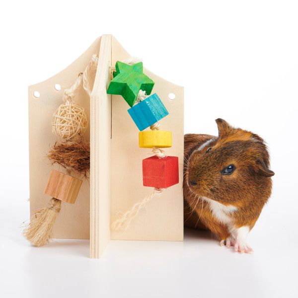 Oxbow Enriched Life Play Center Small Animal Toy Small