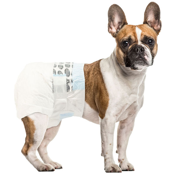 Simple Solution Disposable Dog Diapers Small 12pk