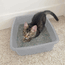 Van Ness Pureness Cat Litter Pan Medium #CP1