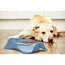 Van Ness Pureness Lightweight Double Dish Small #DD1