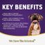 Zignature Soft Moist Dog Treats Lamb 4oz