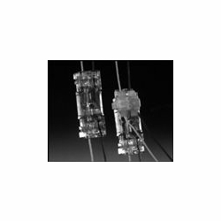 AVAYA 709CD 1/2TAP DRY CONNECTOR 104041587 PACK OF 200 (MINIMUM ORDER 5)
