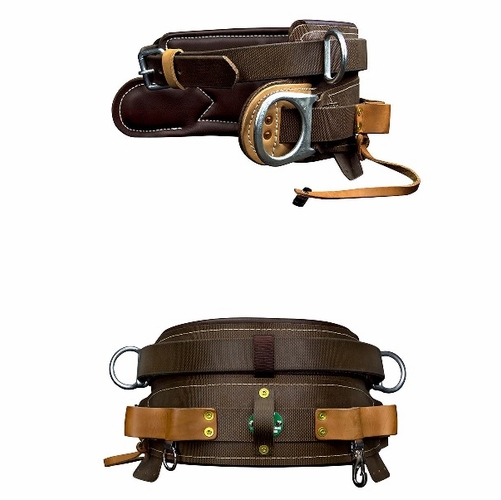 Buckingham 190224 Economy Mobility Belt D21