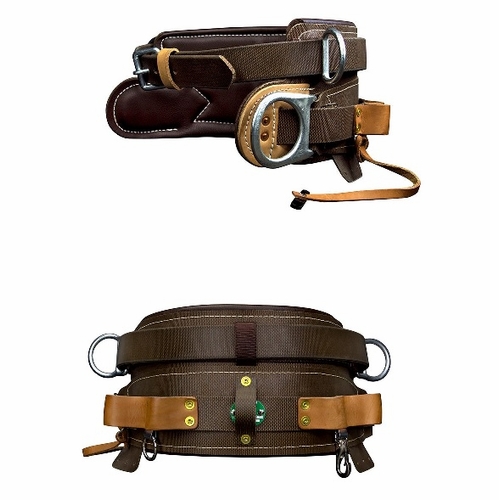 Buckingham 190224 Economy Mobility Belt D22