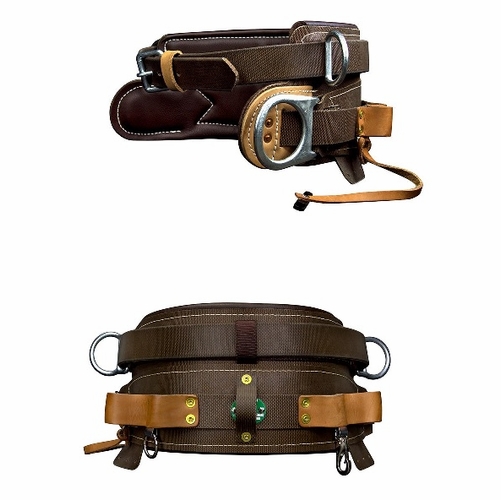 Buckingham 190224 Economy Mobility Belt D23