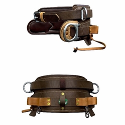 BUCKINGHAM 190224 ECONOMY MOBILITY BELT D25
