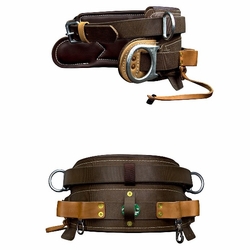 Buckingham 190224 Economy Mobility Belt D28