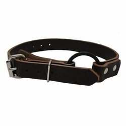 Buckingham 21341 Climber Foot Strap