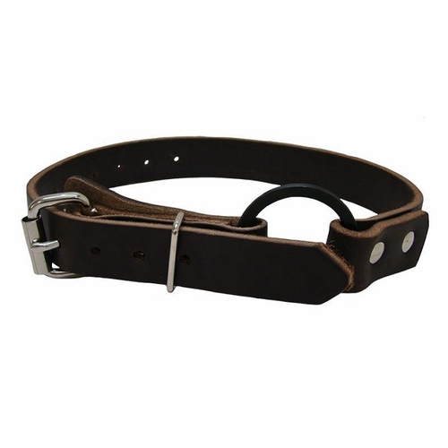 Buckingham 21341 Climber Foot Strap