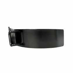 BUCKINGHAM 50321 ANGLED INSERT FOR BUCK ALLOY