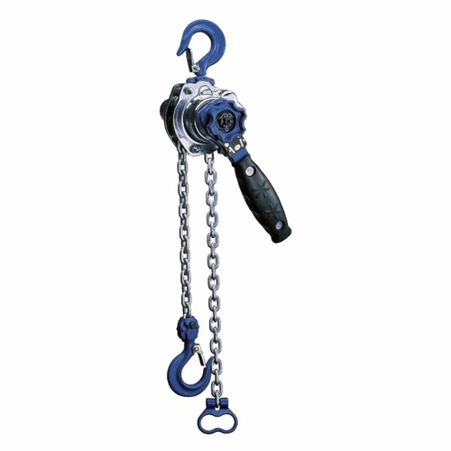 Hastings F500 Amh Chain Hoist