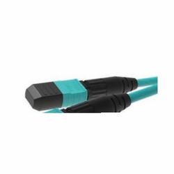 ILSINTECH 12HAS2MT 12 Fiber/Hole Type/APC/OS2/MT Elite Ferrule MPO - No Pins (Female)