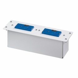 LEVITON 47605-DP  AC Power Surge Protective Module (two duplex blue receptacles) 078477118139
