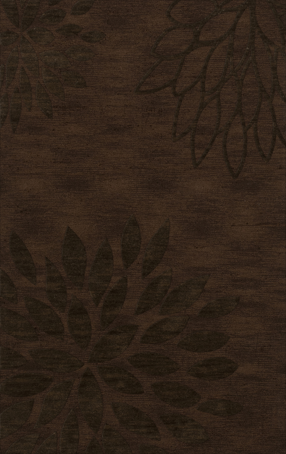 Brown Transitional Leaves Petals Area Rug Floral DV17 - Picture 24 of 35