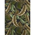 Dalyn Area Rugs: Tropics Rugs: TC1 Black