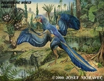 Archaeopteryx, Jurassic Period, 13" x 19" Archaeopteryx, Jurassic Period, 13" x 19"