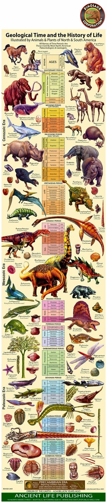 Geological Timeline Poster | Evolution of Earth Science | Dinosaur ...