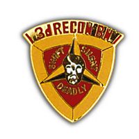 3rd Recon BN Pin - Marine Corps Division Pins - PriorService.com