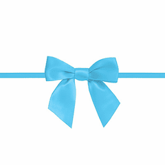 2.5" Blue Bow with Ties